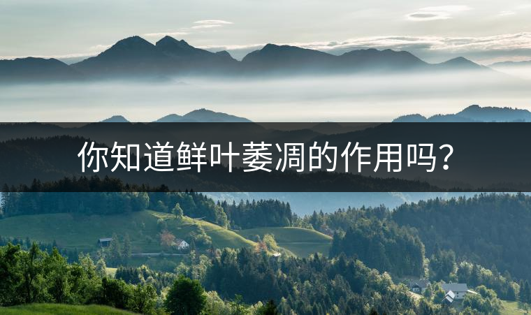 你知道鮮葉萎凋的作用嗎？