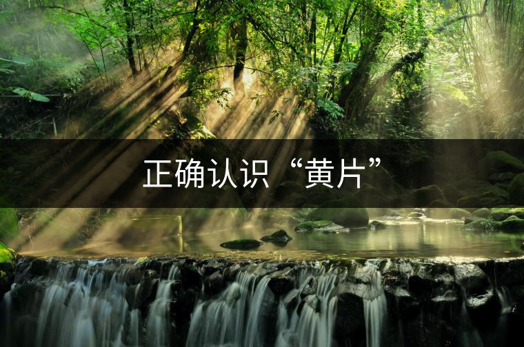 正確認(rèn)識(shí)“黃片” 正確認(rèn)識(shí)“黃片”