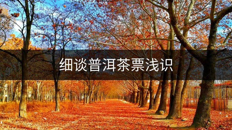 細(xì)談普洱茶票淺識 細(xì)談普洱茶票淺識