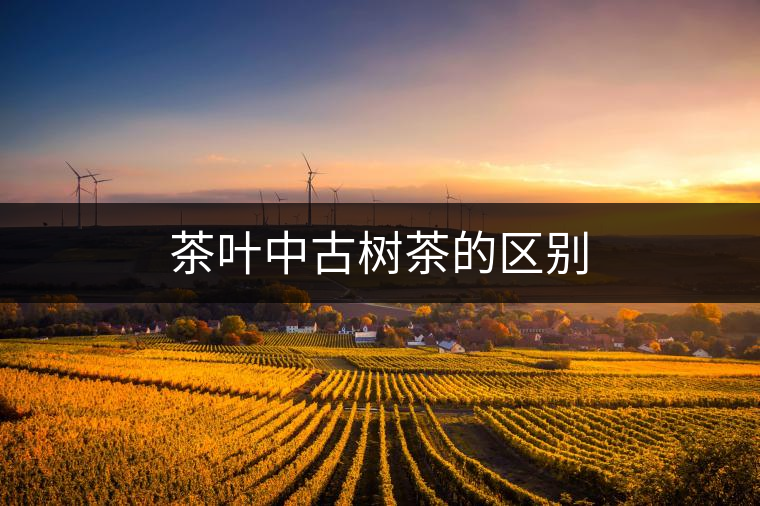 茶葉中古樹茶的區(qū)別 茶葉中古樹茶的區(qū)別