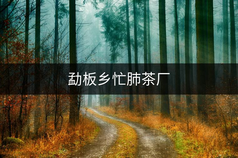 勐板鄉(xiāng)忙肺茶廠 勐板鄉(xiāng)忙肺茶廠