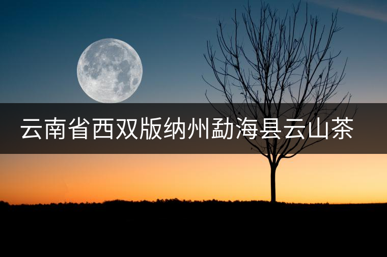 云南省西雙版納州勐??h云山茶廠 云南省西雙版納州勐??h云山茶廠