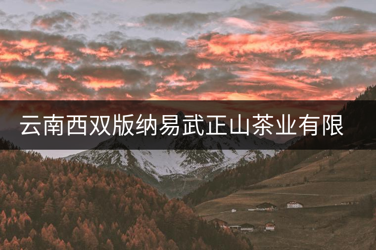 云南西雙版納易武正山茶業(yè)有限公司 云南西雙版納易武正山茶業(yè)有限公司
