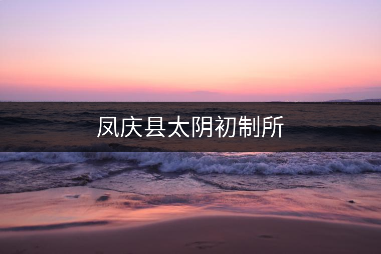 鳳慶縣太陰初制所 鳳慶縣太陰初制所