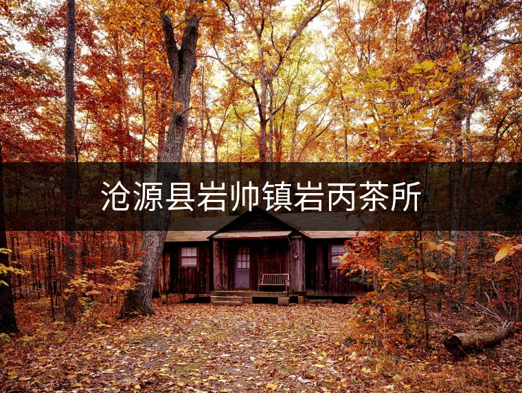 滄源縣巖帥鎮(zhèn)巖丙茶所 滄源縣巖帥鎮(zhèn)巖丙茶所