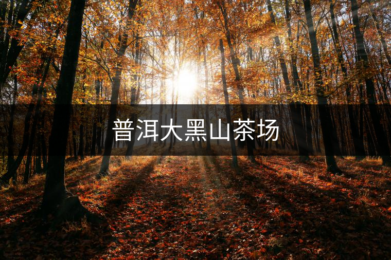普洱大黑山茶場 普洱大黑山茶場