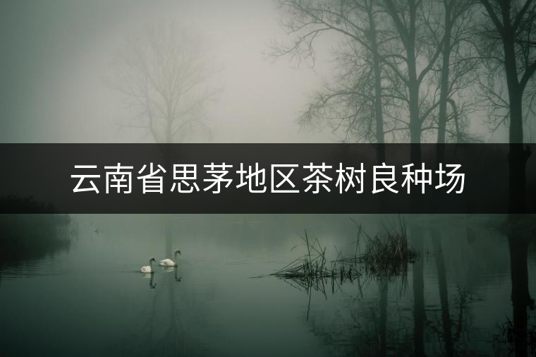 云南省思茅地區(qū)茶樹良種場