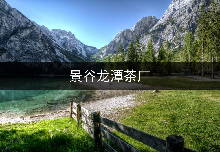 景谷龍?zhí)恫鑿S 景谷龍?zhí)恫鑿S