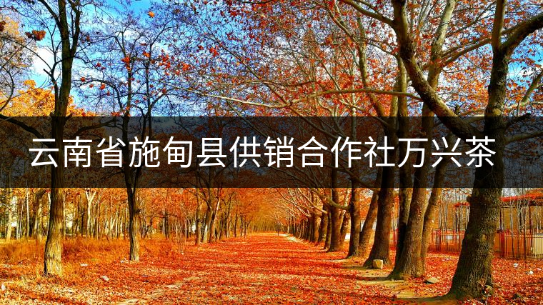云南省施甸縣供銷(xiāo)合作社萬(wàn)興茶廠 云南省施甸縣供銷(xiāo)合作社萬(wàn)興茶廠