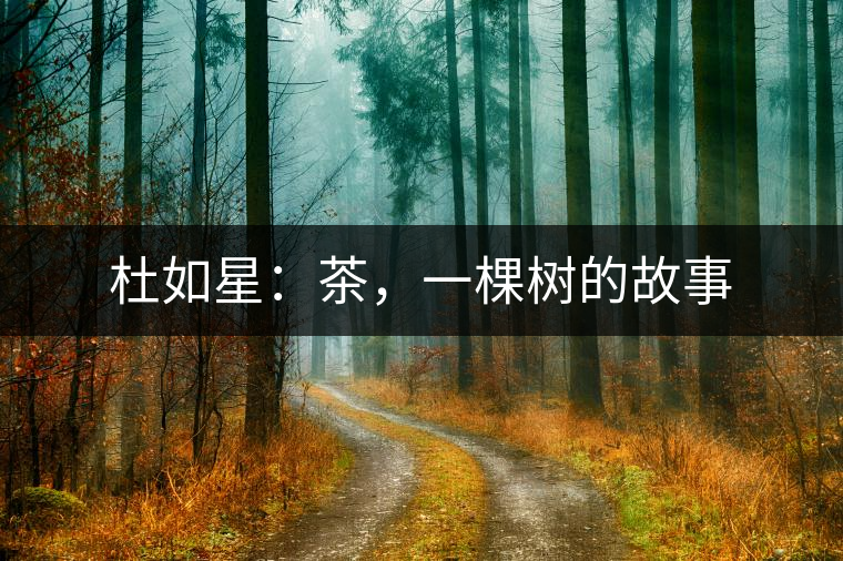 杜如星：茶，一棵樹(shù)的故事
