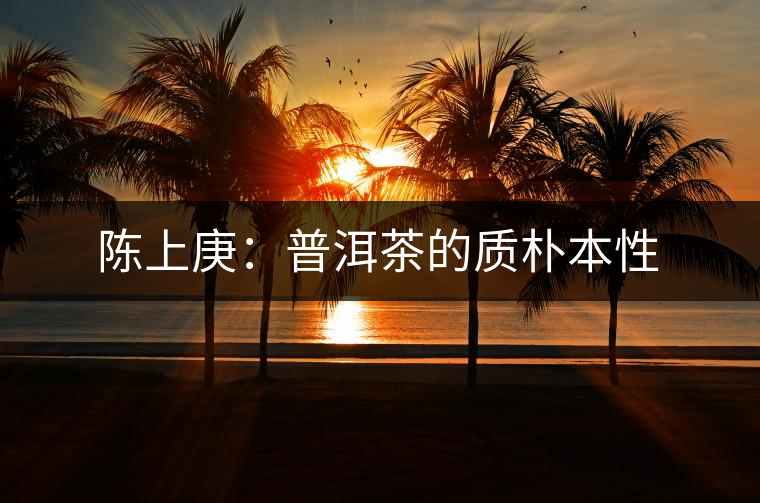 陳上庚:普洱茶的質(zhì)樸本性 陳上庚:普洱茶的質(zhì)樸本性