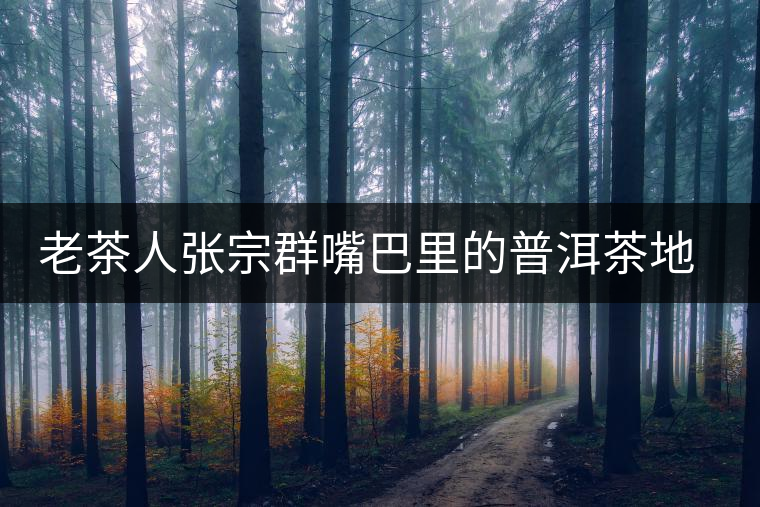 老茶人張宗群嘴巴里的普洱茶地理 老茶人張宗群嘴巴里的普洱茶地理