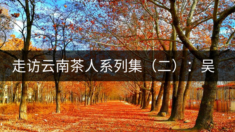 走訪云南茶人系列集（二）：吳覺農(nóng)的云南弟子——彭承鑑