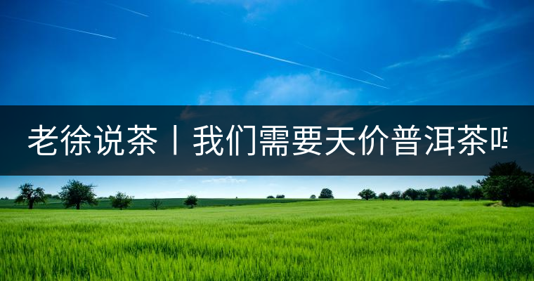 老徐說茶丨我們需要天價(jià)普洱茶嗎？