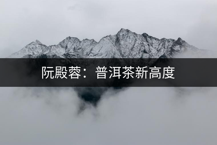 阮殿蓉:普洱茶新高度 阮殿蓉:普洱茶新高度