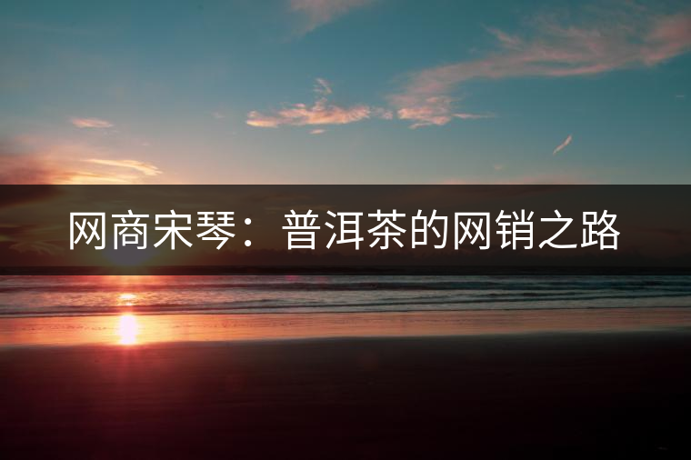 網(wǎng)商宋琴:普洱茶的網(wǎng)銷(xiāo)之路 網(wǎng)商宋琴:普洱茶的網(wǎng)銷(xiāo)之路