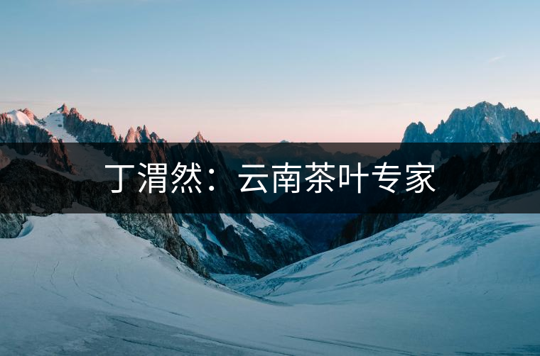 丁渭然：云南茶葉專(zhuān)家