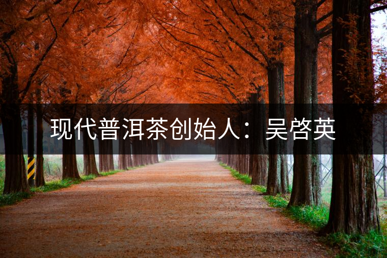 現(xiàn)代普洱茶創(chuàng)始人:吳啓英 現(xiàn)代普洱茶創(chuàng)始人:吳啓英