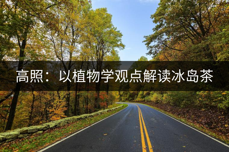高照:以植物學(xué)觀點(diǎn)解讀冰島茶 高照:以植物學(xué)觀點(diǎn)解讀冰島茶