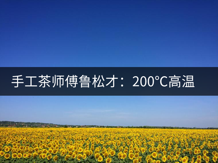 手工茶師傅魯松才：200℃高溫下練就“鐵砂掌”