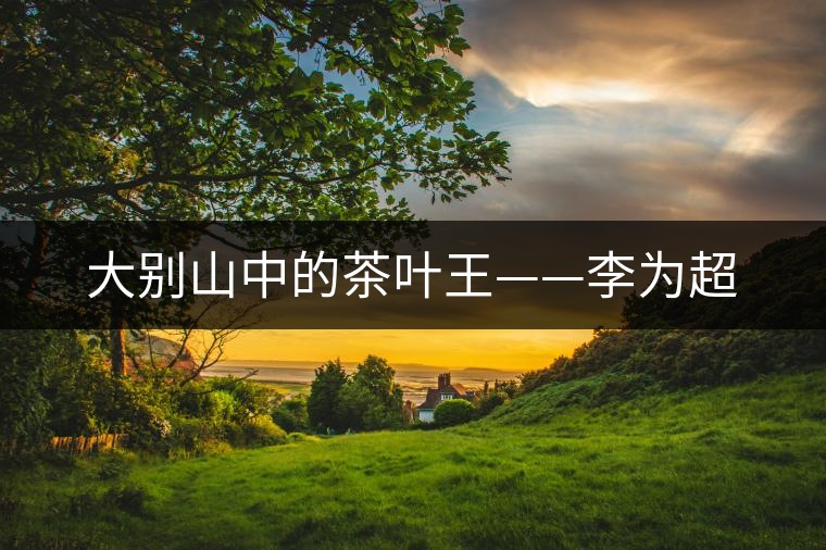 大別山中的茶葉王——李為超 大別山中的茶葉王——李為超