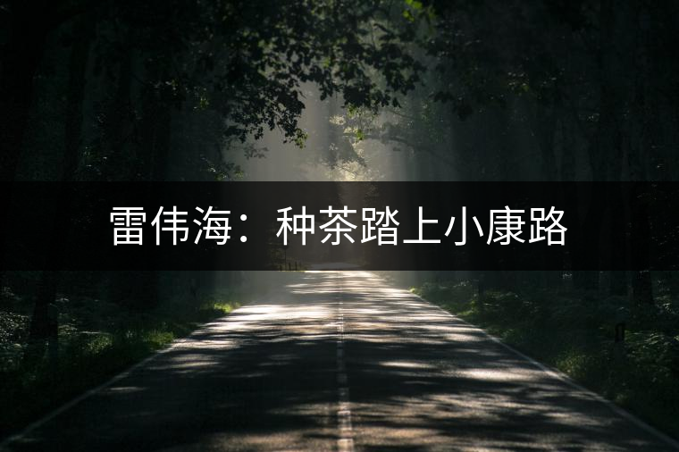 雷偉海:種茶踏上小康路 雷偉海:種茶踏上小康路