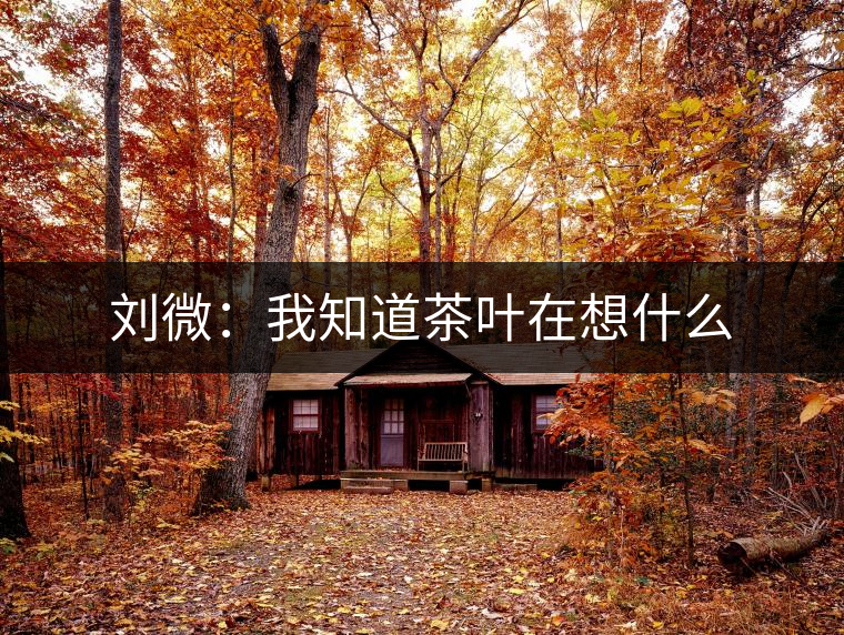 劉微:我知道茶葉在想什么 劉微:我知道茶葉在想什么