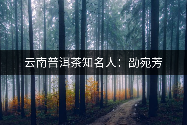 云南普洱茶知名人:劭宛芳 云南普洱茶知名人:劭宛芳