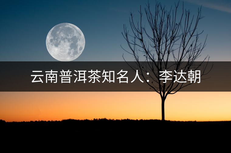 云南普洱茶知名人:李達朝 云南普洱茶知名人:李達朝