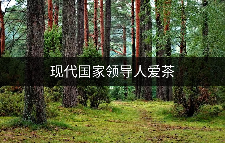 現(xiàn)代國家領導人愛茶 現(xiàn)代國家領導人愛茶