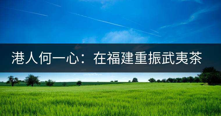 港人何一心：在福建重振武夷茶 創(chuàng)武夷星茶品牌