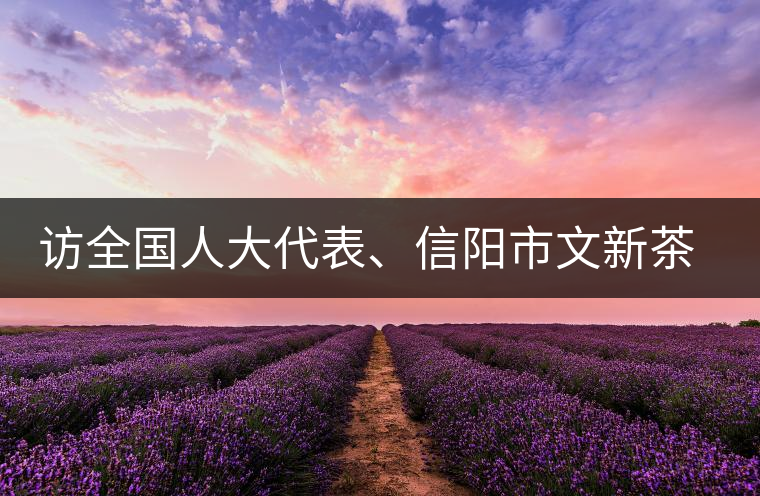 訪全國人大代表、信陽市文新茶葉有限責任公司董事長劉文新