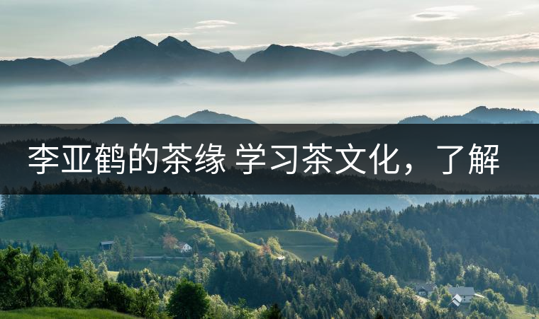 李亞鶴的茶緣 學(xué)習(xí)茶文化，了解茶文化，品味茶文化
