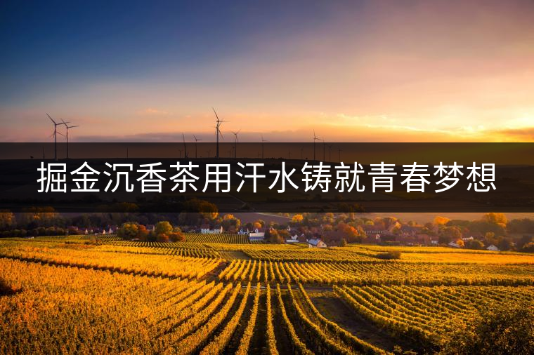 掘金沉香茶用汗水鑄就青春夢想 掘金沉香茶用汗水鑄就青春夢想