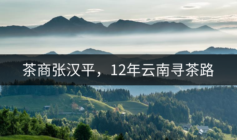 茶商張漢平，12年云南尋茶路