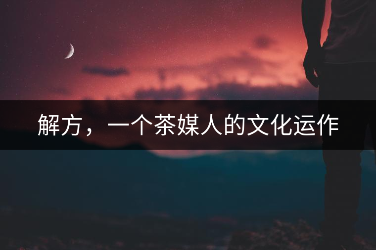 解方，一個茶媒人的文化運作