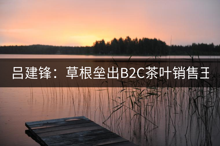 呂建鋒:草根壘出B2C茶葉銷售王國51普洱網(wǎng) 呂建鋒:草根壘出B2C茶葉銷售王國51普洱網(wǎng)
