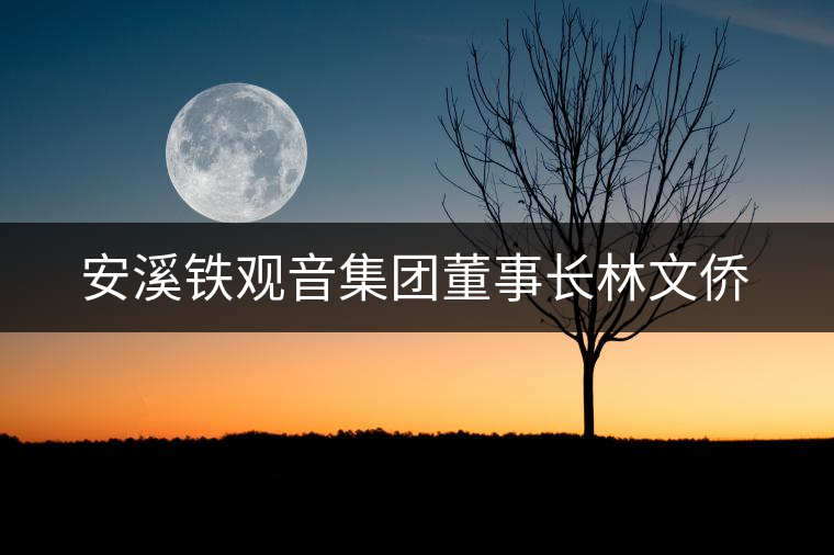 安溪鐵觀音集團(tuán)董事長(zhǎng)林文僑