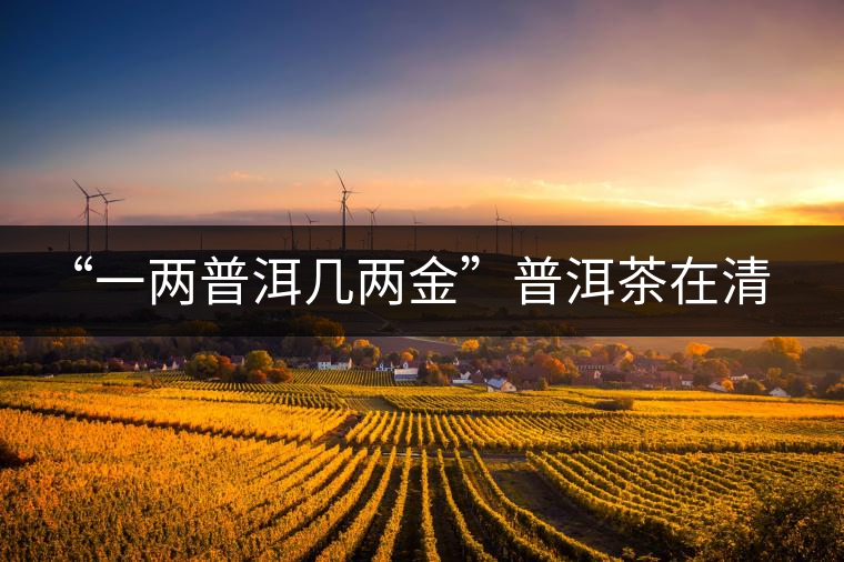 “一兩普洱幾兩金”普洱茶在清代為啥這么火？！