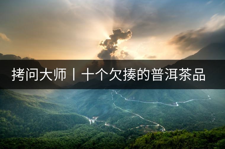 拷問(wèn)大師丨十個(gè)欠揍的普洱茶品評(píng)用詞 拷問(wèn)大師丨十個(gè)欠揍的普洱茶品評(píng)用詞
