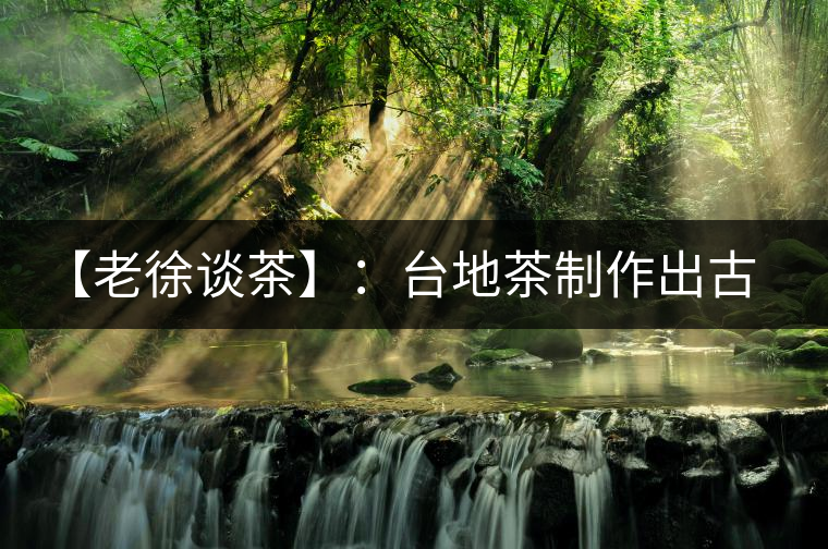 【老徐談茶】：臺地茶制作出古樹茶口感？只需一招，輕松騙過你 ?