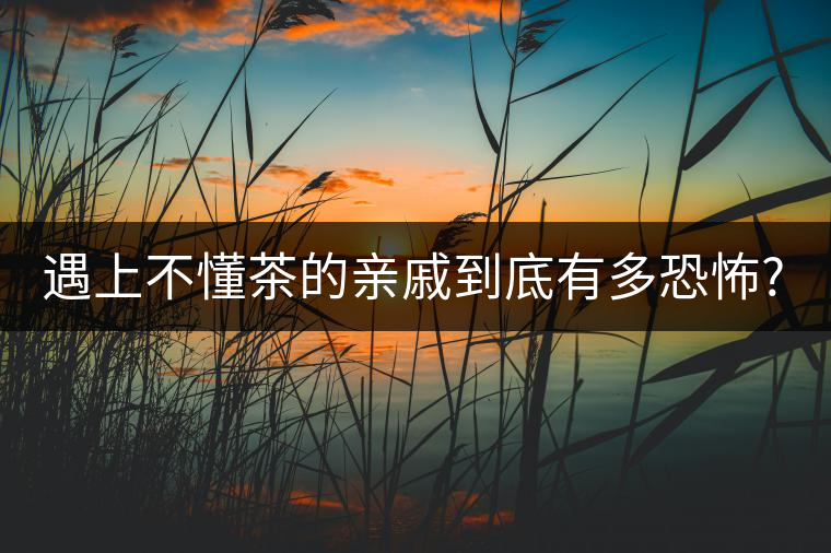遇上不懂茶的親戚到底有多恐怖?千萬(wàn)別用喝茶來(lái)考驗(yàn)?zāi)愕挠H情! 遇上不懂茶的親戚到底有多恐怖?千萬(wàn)別用喝茶來(lái)考驗(yàn)?zāi)愕挠H情!