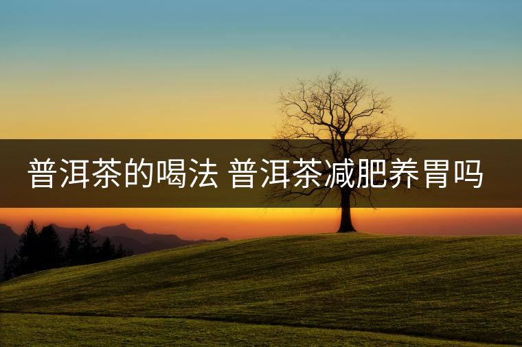 普洱茶的喝法 普洱茶減肥養(yǎng)胃嗎？