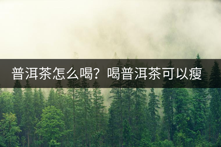 普洱茶怎么喝？喝普洱茶可以瘦腹嗎？