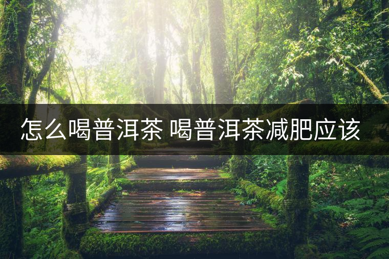 怎么喝普洱茶 喝普洱茶減肥應該用科學的飲用方法 怎么喝普洱茶 喝普洱茶減肥應該用科學的飲用方法