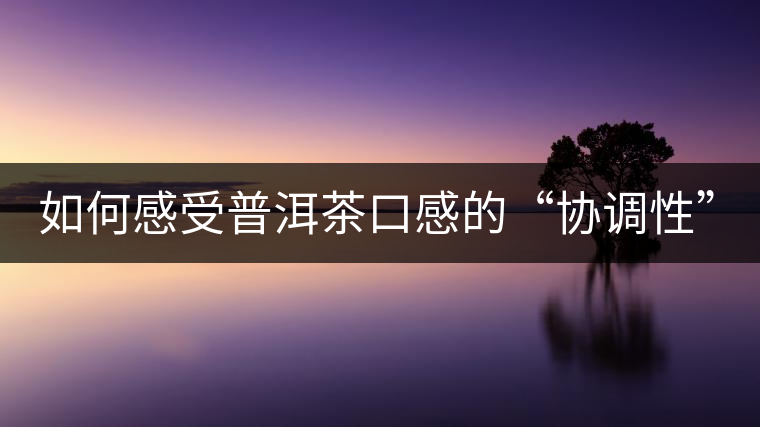 如何感受普洱茶口感的“協(xié)調(diào)性”？