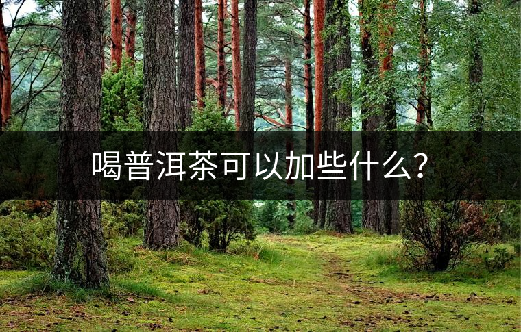 喝普洱茶可以加些什么？