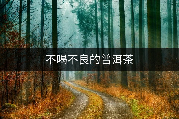 不喝不良的普洱茶