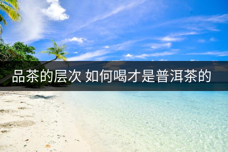 品茶的層次 如何喝才是普洱茶的最高境界？