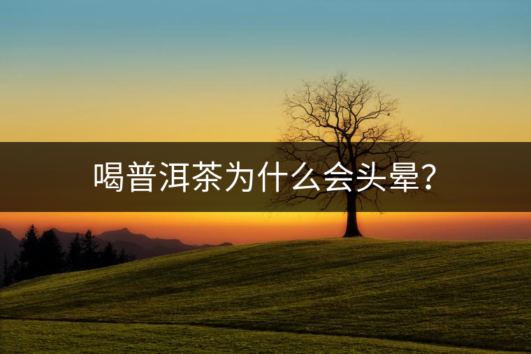 喝普洱茶為什么會(huì)頭暈？